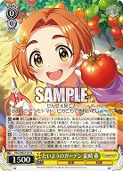 たいようのガーデン 龍崎 薫 【IMC/WE51/07N】